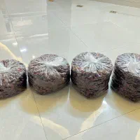 خرما خاصویی،شاهانی،قصب