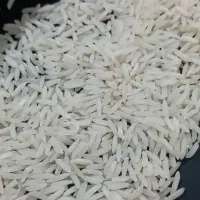 پخش برنج طارم و فجر گرگان اعلا درجه۱