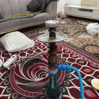 قلیان آدامس نعنان آب بندی فول|کلکسیون و سرگرمی|اهواز, مجاهد|دیوار