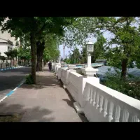 جذب نیروی کار ماهر و نیمه ماهر