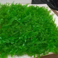 دکوراسیون داخلی ساختمان|مصالح و تجهیزات ساختمان|جیرفت, |دیوار