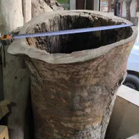 تنه درخت چنار خاص توخالی
