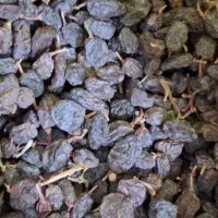 کشمش بیدانه فله