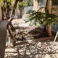 اجاره منزل ویلایی|اجارهٔ خانه و ویلا|تربت جام, شهید غلام زاده|دیوار