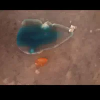 سنگهای قیمتی|جواهرات|قم, ولیعصر|دیوار