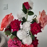 گلدان و گلهاش باهم