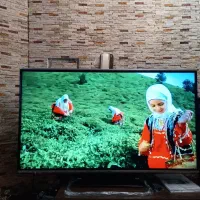 ال ای دی۵۵اینچ پاناسونیک