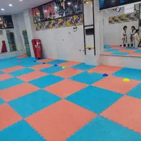 آموزش ورزش المپیکی تکواندو بانوان