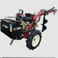 هرس ، پاکنی درخت ، گوده و کاشت درخت و گل،گیاه|خدمات باغبانی و درختکاری|شیراز, غدیر جنوبی|دیوار