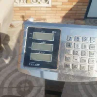 باسکول ۵۰۰ کیلویی