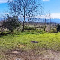 اجاره-خانه-قدیمی