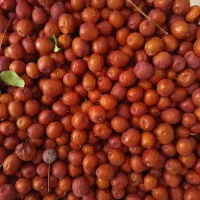 عناب تازه امسالی
