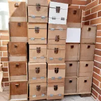 لانه سالنی طوطیسانان (معاوضه با ملنگو) چک صیادی