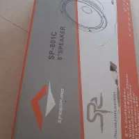 میدرنج اسپید وارد|صوتی و تصویری|رشت, فلسطین|دیوار