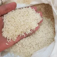 برنج درجه یک هاشمی الموت