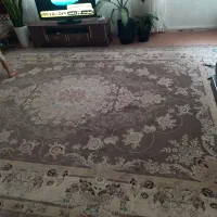 فرش|فرش|سبزوار, کاشفی شمالی (دادگستری)|دیوار