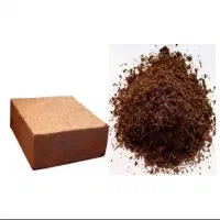 کوکوپیت