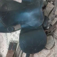 زین و دهنه