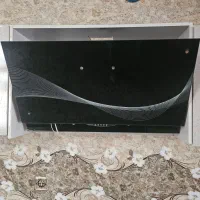 هود سون گلد