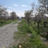 باغچه|فروش زمین و ملک کلنگی|رباطکریم, انجم آباد|دیوار