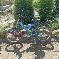 دوچرخه 20|دوچرخه، اسکیت، اسکوتر|گل تپه, |دیوار