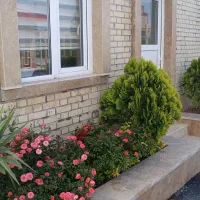 باغبانی و فضای سبز