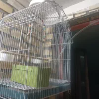 یک قفس در حد نو