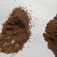 غذای ماهی ویژه همکاران و آکواریوم داران