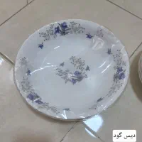 بشقاب و دیس آرکوپال