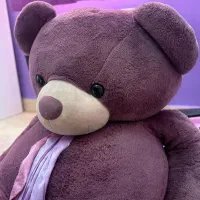 خرس 140 سانتی|اسباب‌بازی بچه|تهران, طرشت|دیوار