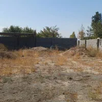زمین500متری-دراسفندیان-شاهنامه67