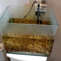 آکواریوم ماهی
