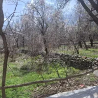 باغ-ویلاوشنوه