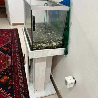 آکواریوم شرکتی قدیمی اصل