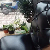 جویای کار