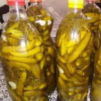 بطری  خیار شور