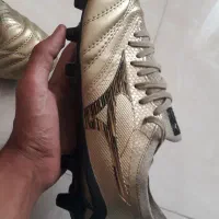 استوک