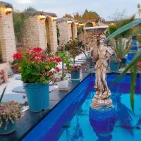 اشپز حرفه ای