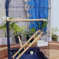 قفس کاسکویی قفس خمره ای کیف حمل