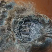 فروش کلاه گیس طبیعی|آرایشی، بهداشتی، درمانی|فردیس, شهرک ارم|دیوار