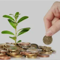 نیازمند  سرمایه گذار و شریک تجاری