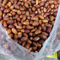 سنجد اعلا درجه یک