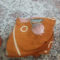 پتو|رختخواب، بالش، پتو|مشهد, مهدی آباد|دیوار
