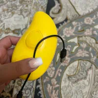 برس حرارتی بخار گربه و سگ|لوازم جانبی حیوانات|کرج, شاهین‌ویلا|دیوار