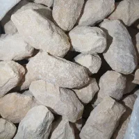 کشک تازه یاهمون لچ‌ گوسغندی