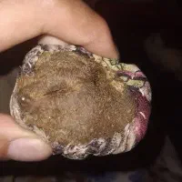 سنگ|جواهرات|شیراز, شهرک بهار|دیوار