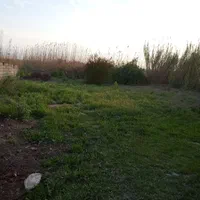 فروش خانه ویلایی ۱۰۰۰ متری ۱ خوابه|فروش خانه و ویلا|پارسآباد, |دیوار