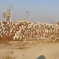 فروش مواد بستری داخل گروبک