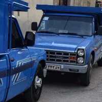 وانت بار پت و مت|خدمات حمل و نقل|بندرعباس, |دیوار