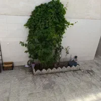 اجاره خانه ویلایی